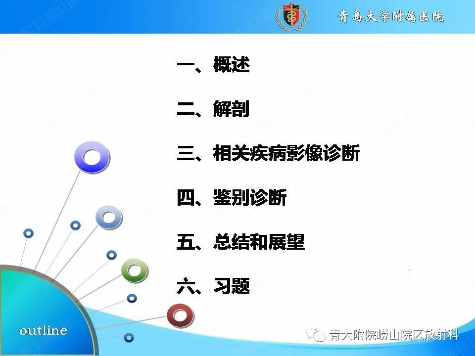 【PPT】自身免疫性脑炎的影像诊断与鉴别-2