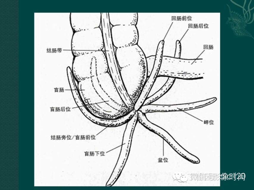 自动草稿