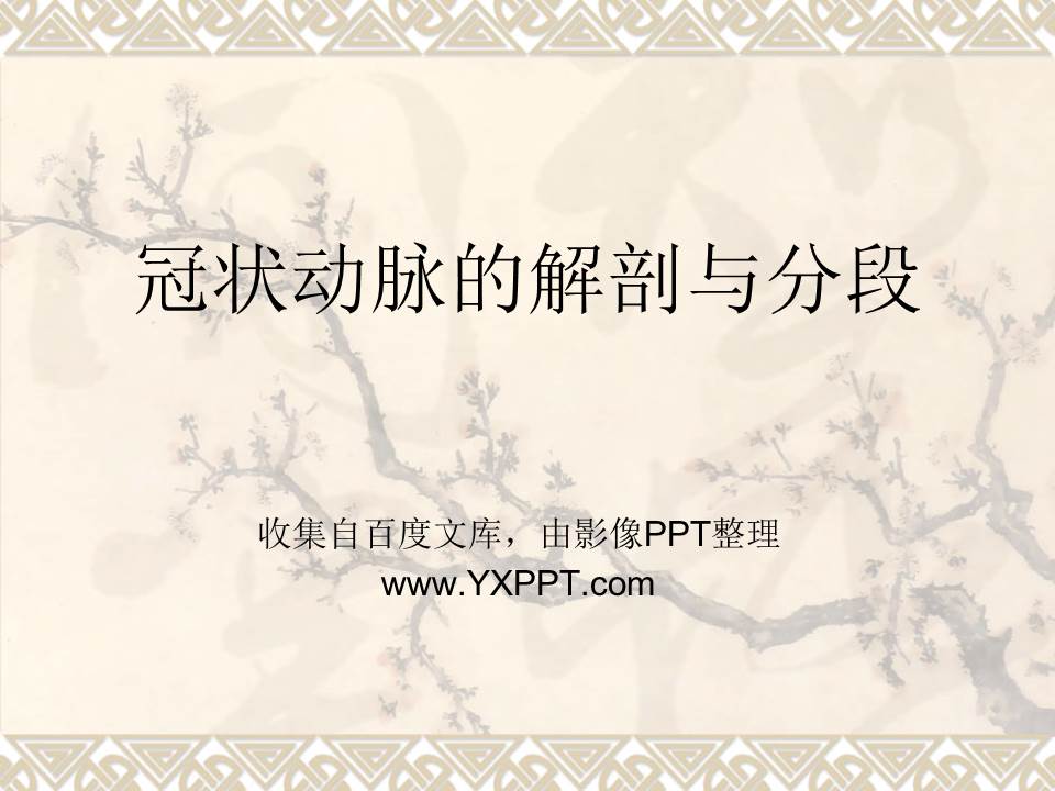 【PPT】冠状动脉解剖与分段(精华版)