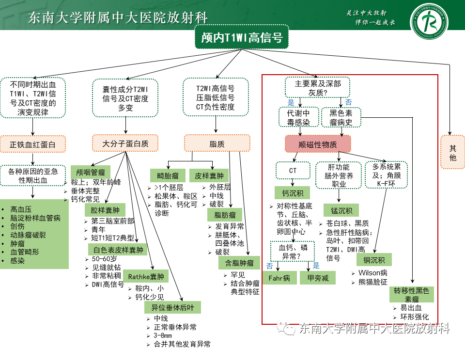 【PPT】成人颅内T1WI高信号病例随访-48