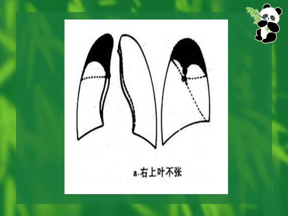 幻灯片16