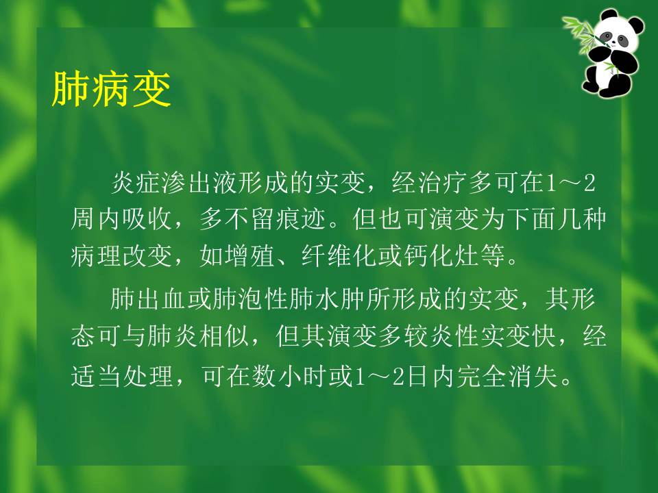 幻灯片27