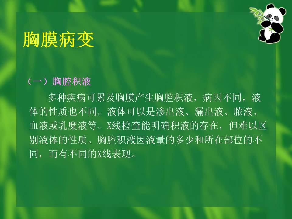 幻灯片53