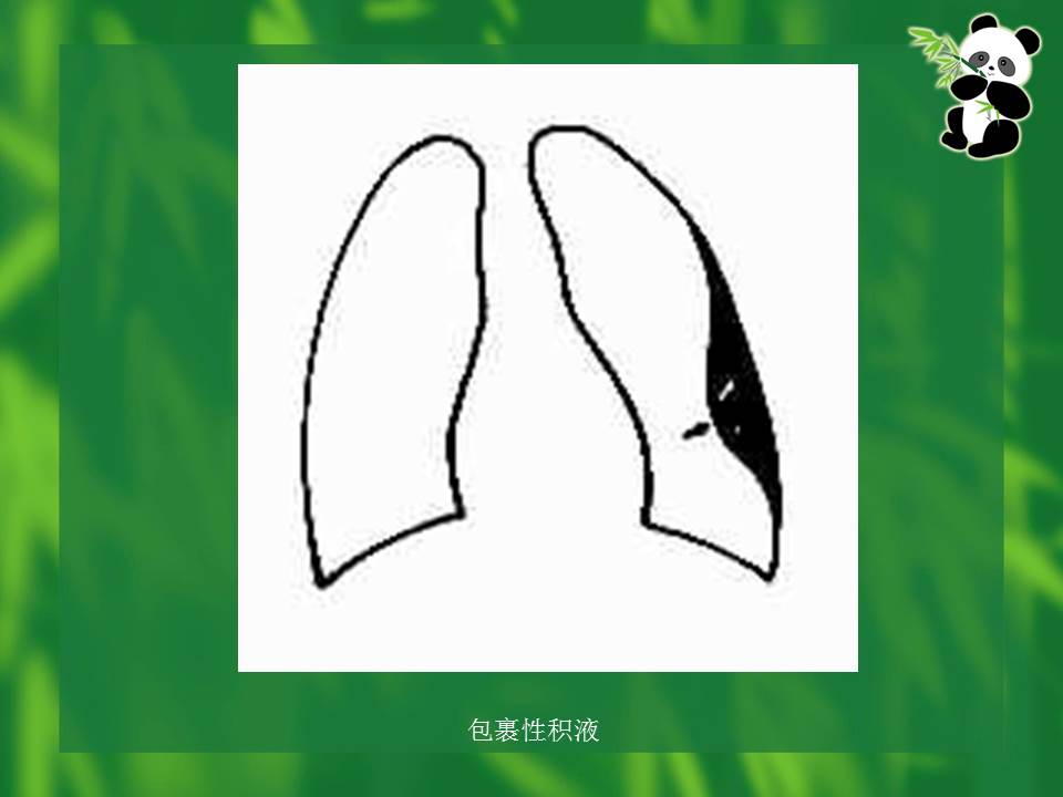 幻灯片65