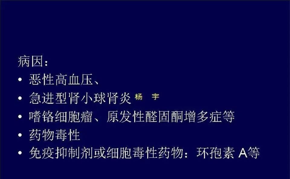【PPT】脑皮层病变的MRI表现-46