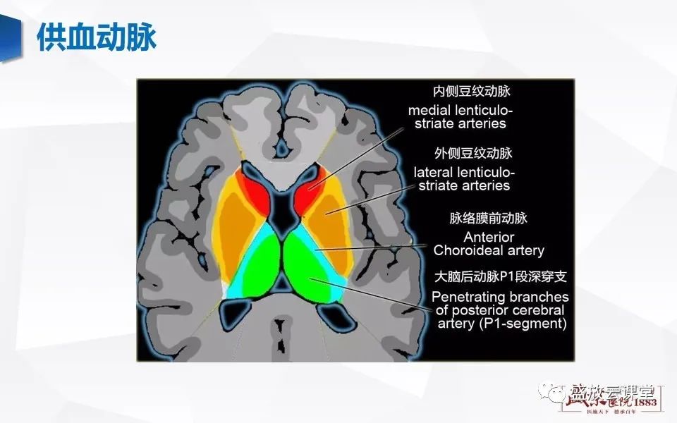 【PPT】DWI在脑卒中诊断中的作用-8