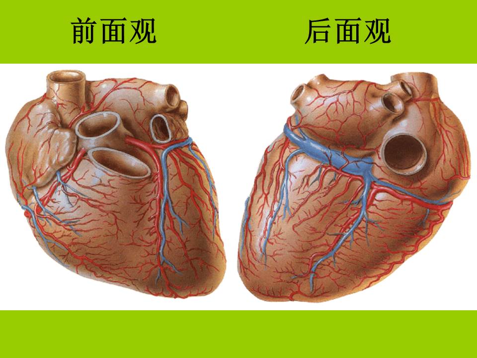 幻灯片3