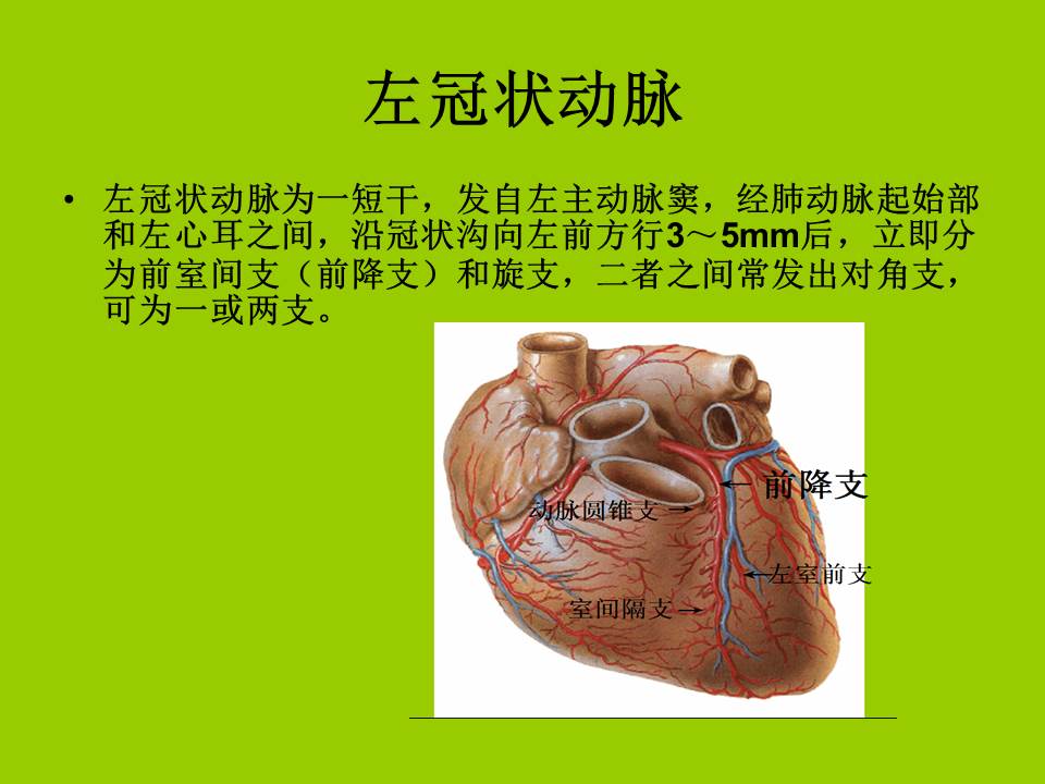 幻灯片4