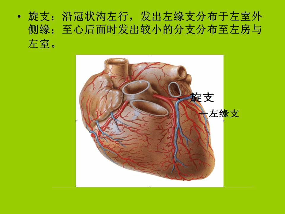 幻灯片6