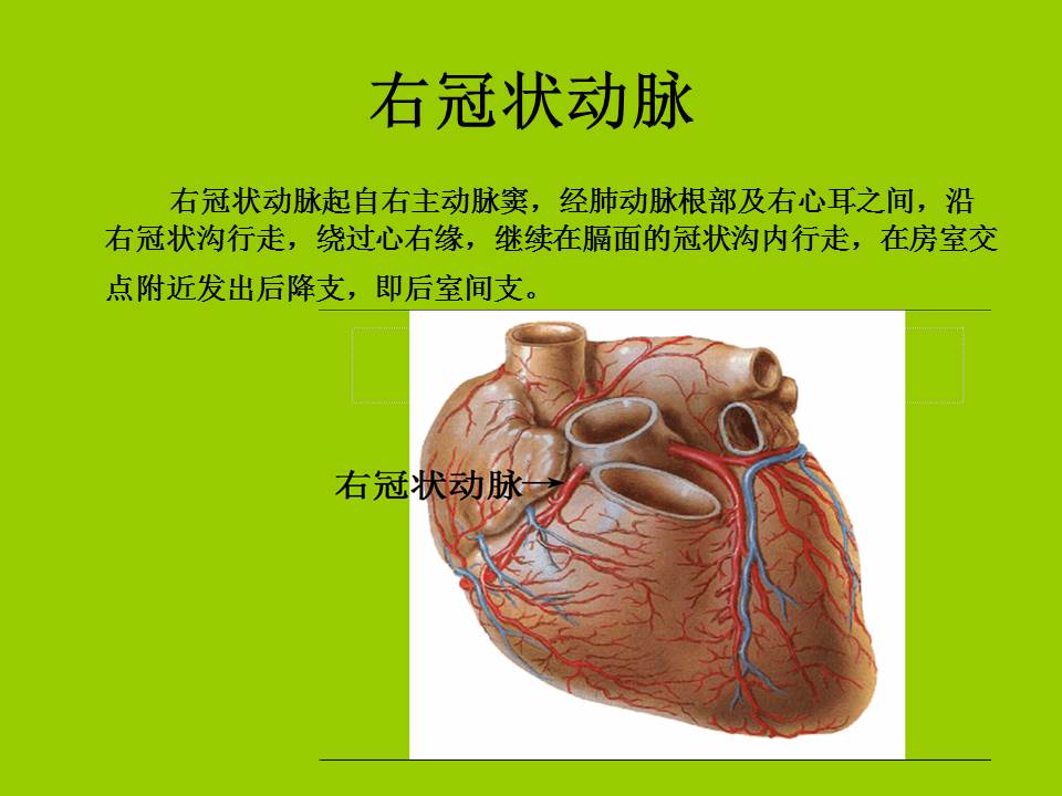 幻灯片7
