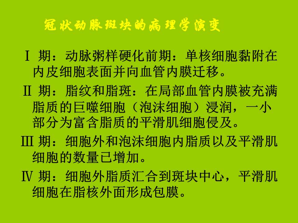 幻灯片23