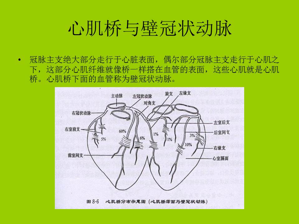 幻灯片47