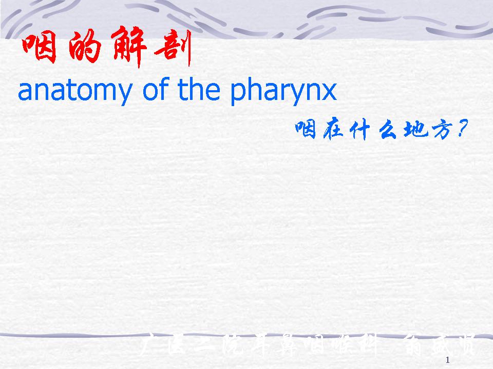 【PPT】咽的解剖