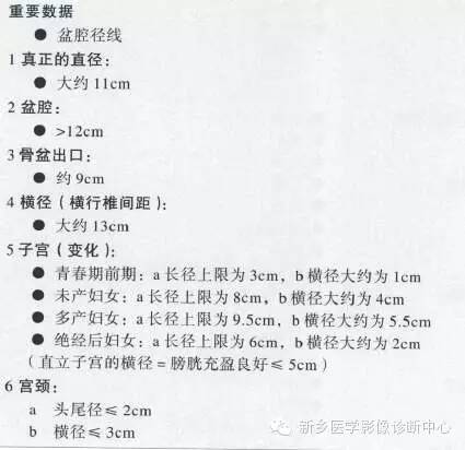 男女盆腔的一些重要影像数据