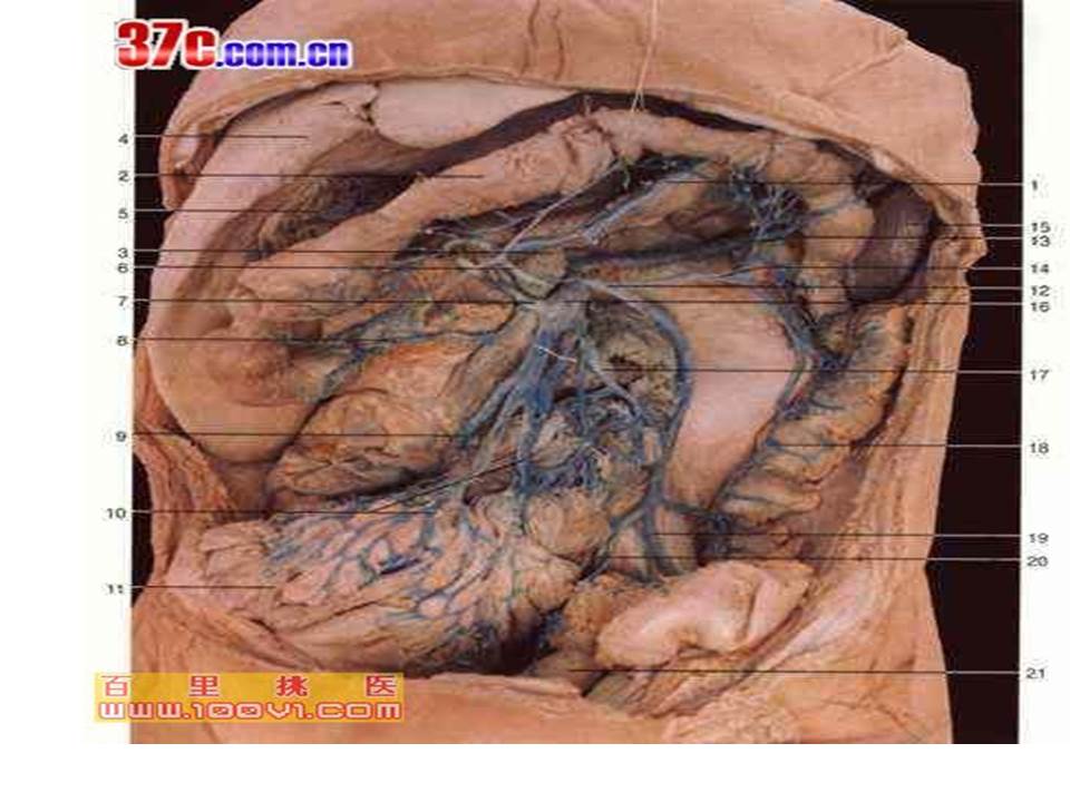 幻灯片7