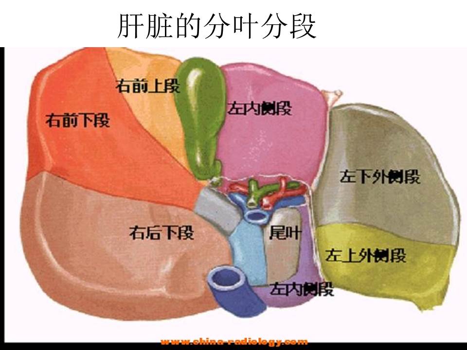 幻灯片13