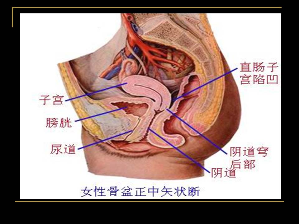 幻灯片5
