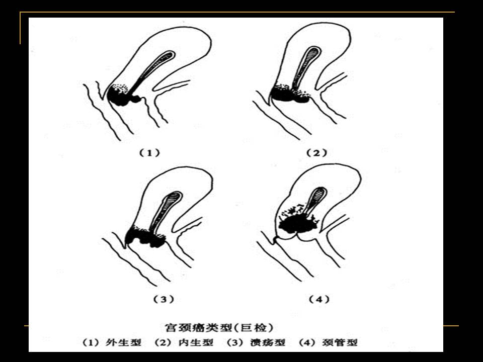 幻灯片9