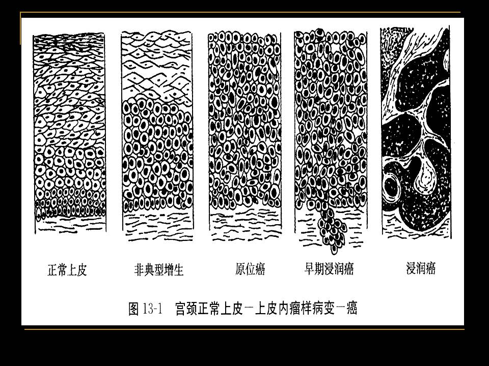 幻灯片12