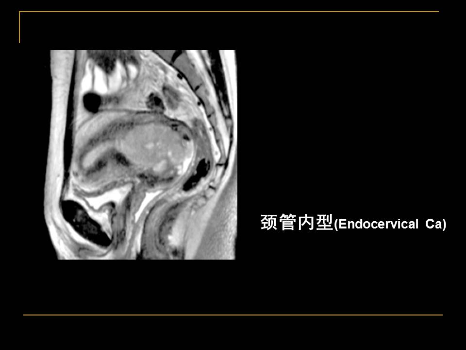 幻灯片24
