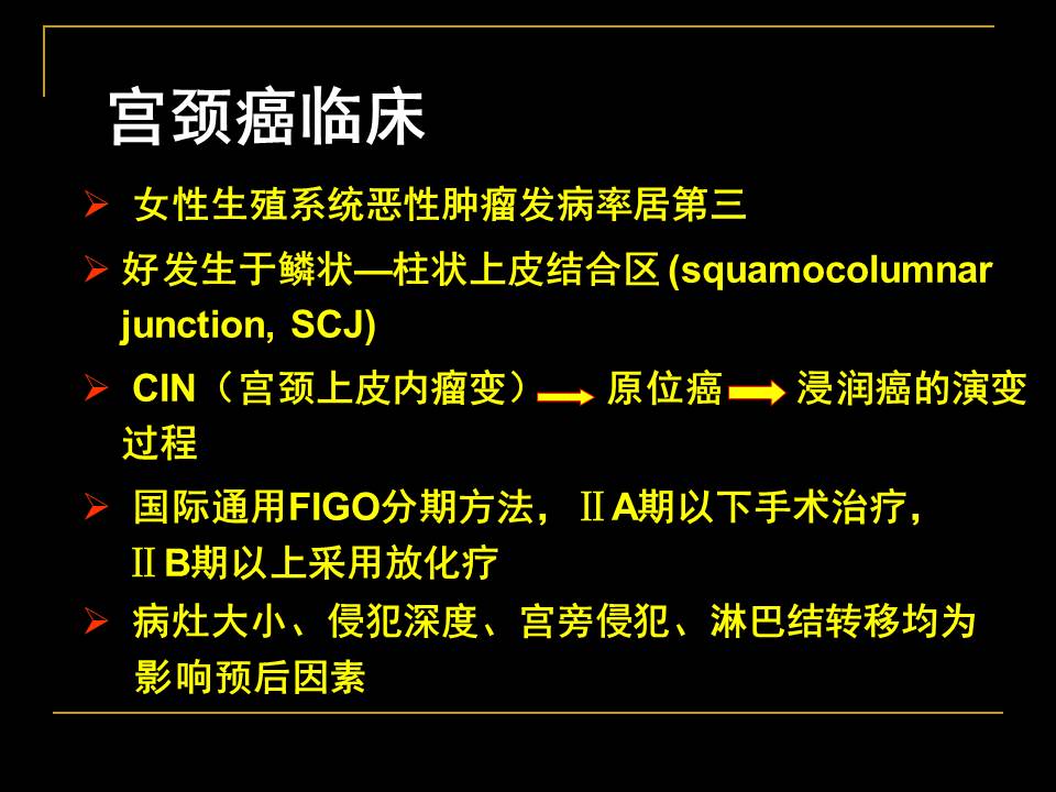 幻灯片10