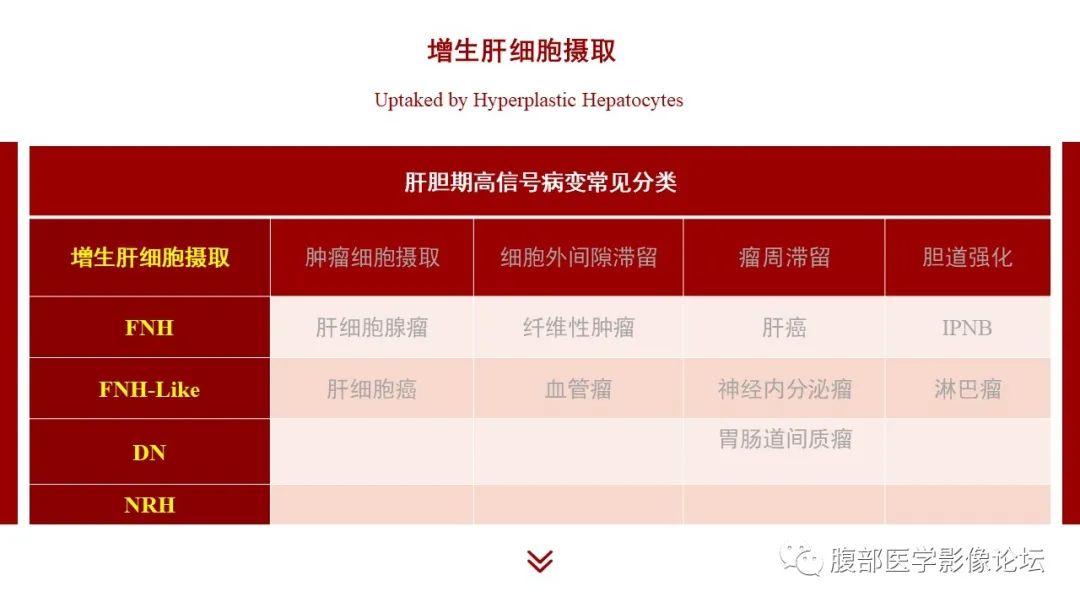 【PPT】肝胆期高信号的病变影像表现及临床意义-13