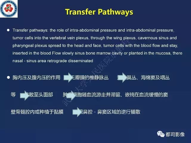 【PPT】鼻腔鼻窦转移瘤1例影像诊断