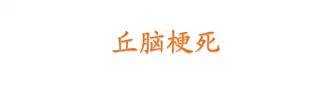 【PPT】猜责任血管与发病机制-90