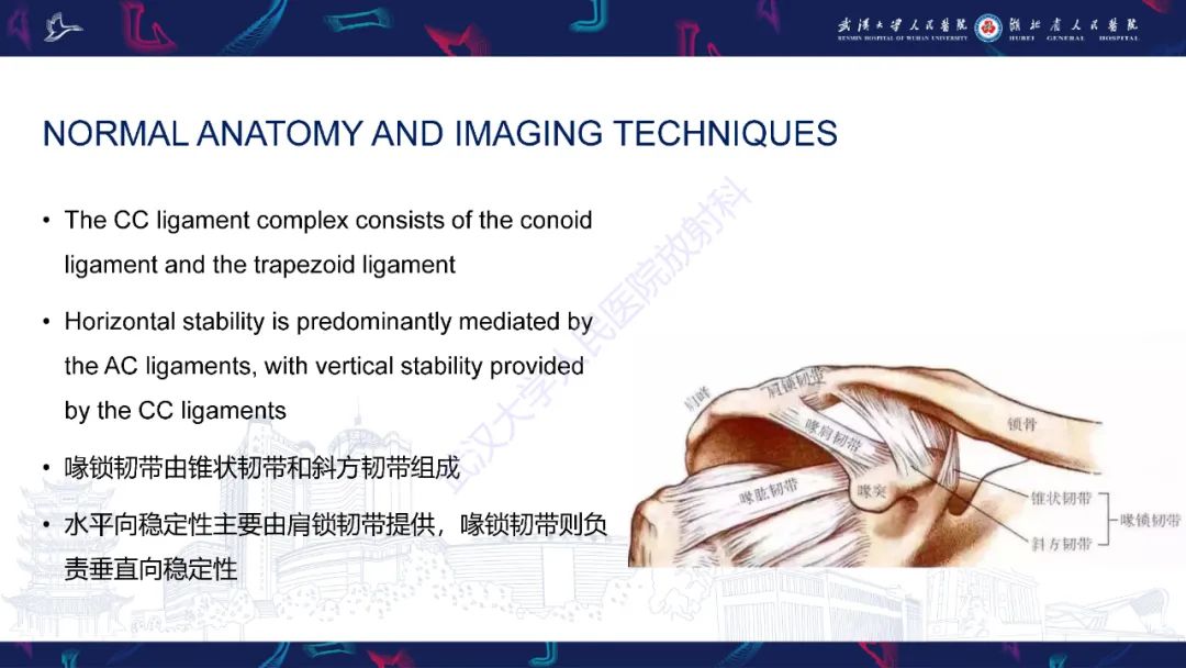【PPT】肩锁关节病变影像诊断-6