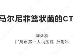 马尔尼菲篮状菌的CT表现