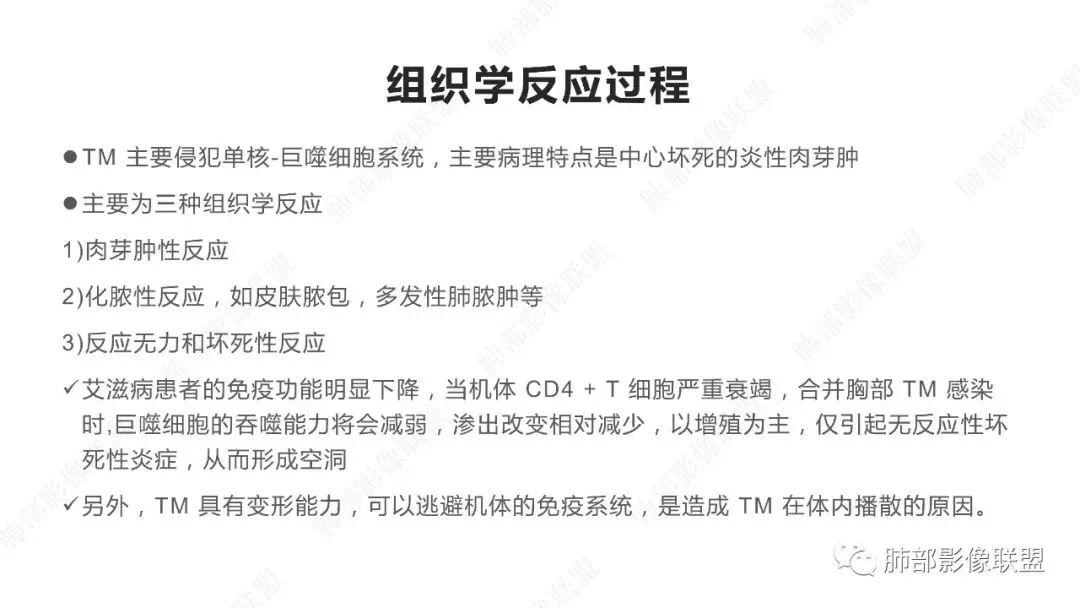 【PPT】马尔尼菲篮状菌的CT表现-6