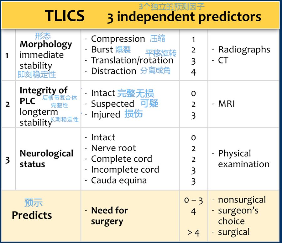 脊柱损伤(TLICS)-1
