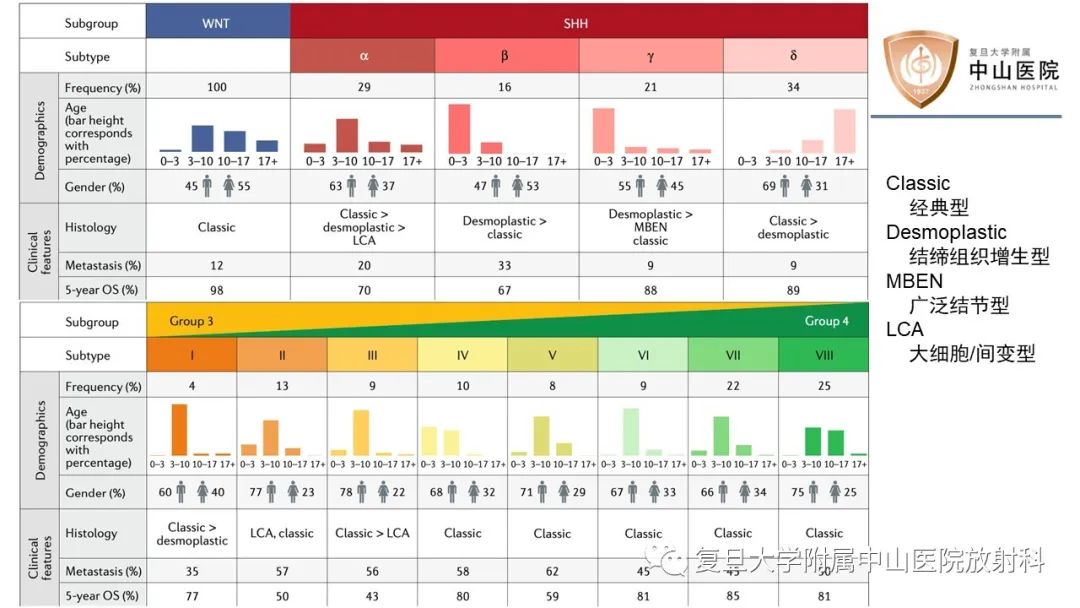 【病例】成人四脑室髓母细胞瘤2例CT及MR-12