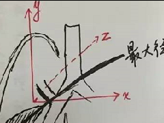 支气管树爬行征详解