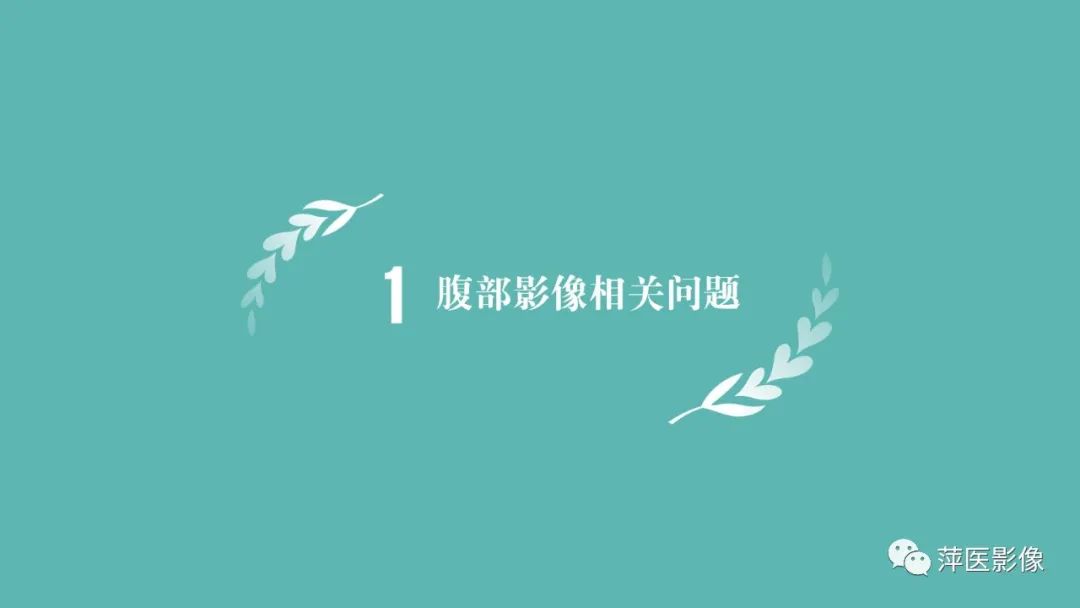 【PPT】腹部X线基础影像-4