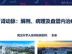 肾动脉：解剖、病理及血管内治疗