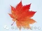 磨玻璃结节良恶性影像分析策略