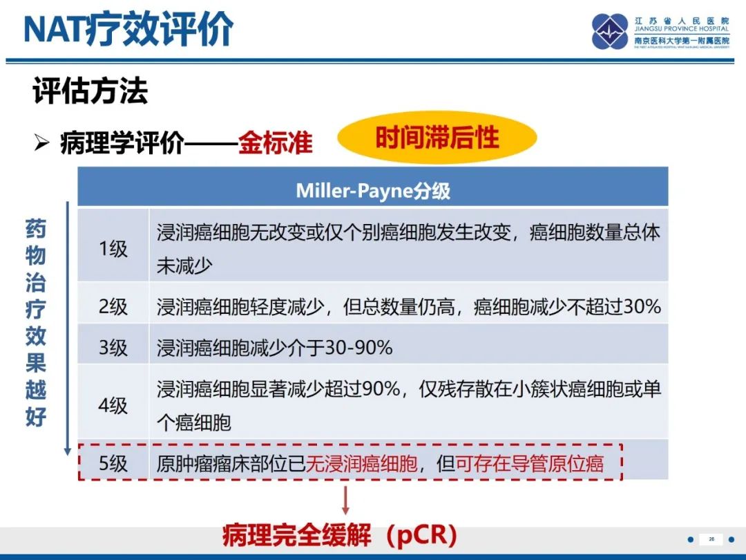 【PPT】三阴性乳腺癌-29