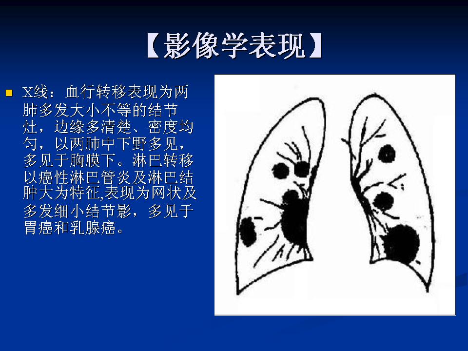 幻灯片5