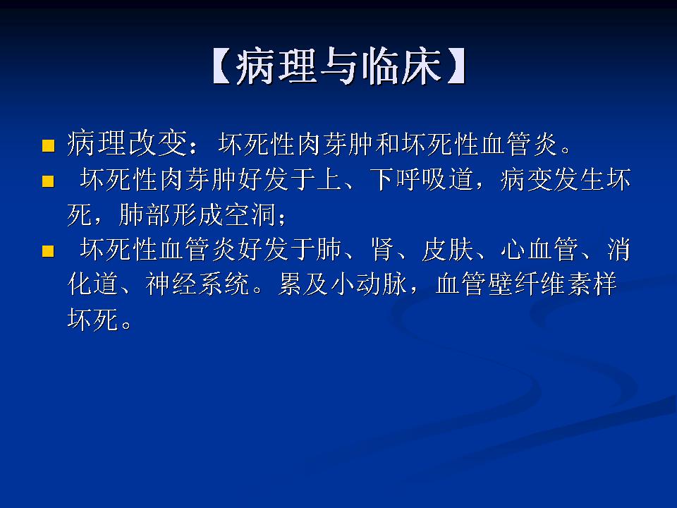 幻灯片14