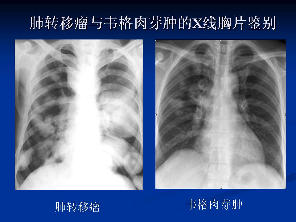 幻灯片24