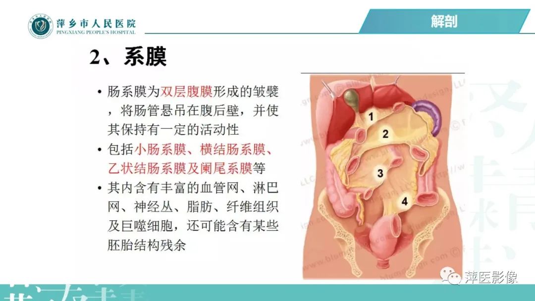 【PPT】腹腔游离气体-13