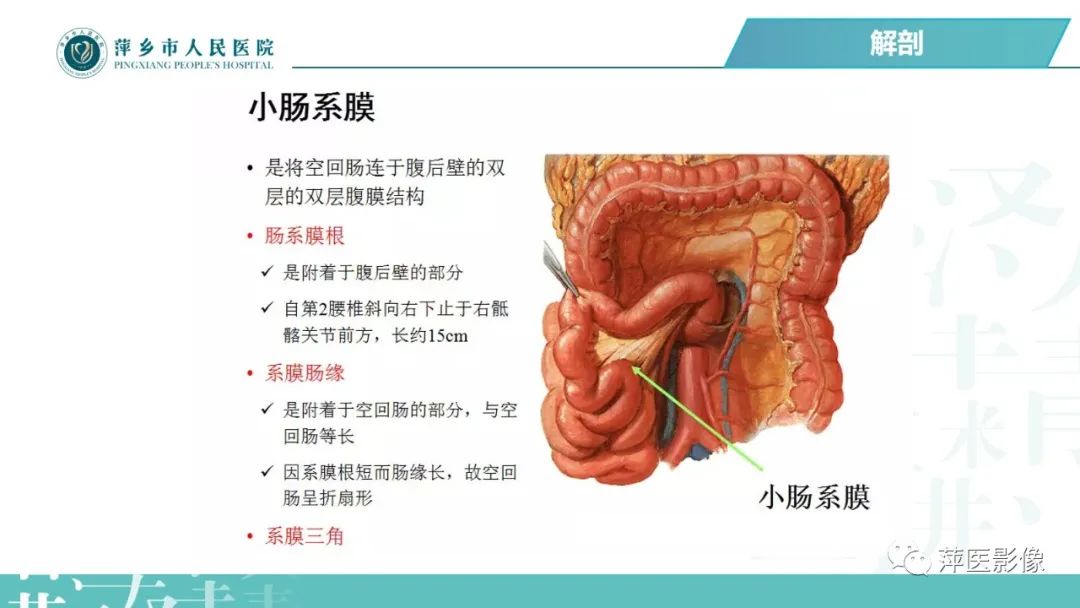 【PPT】腹腔游离气体-14