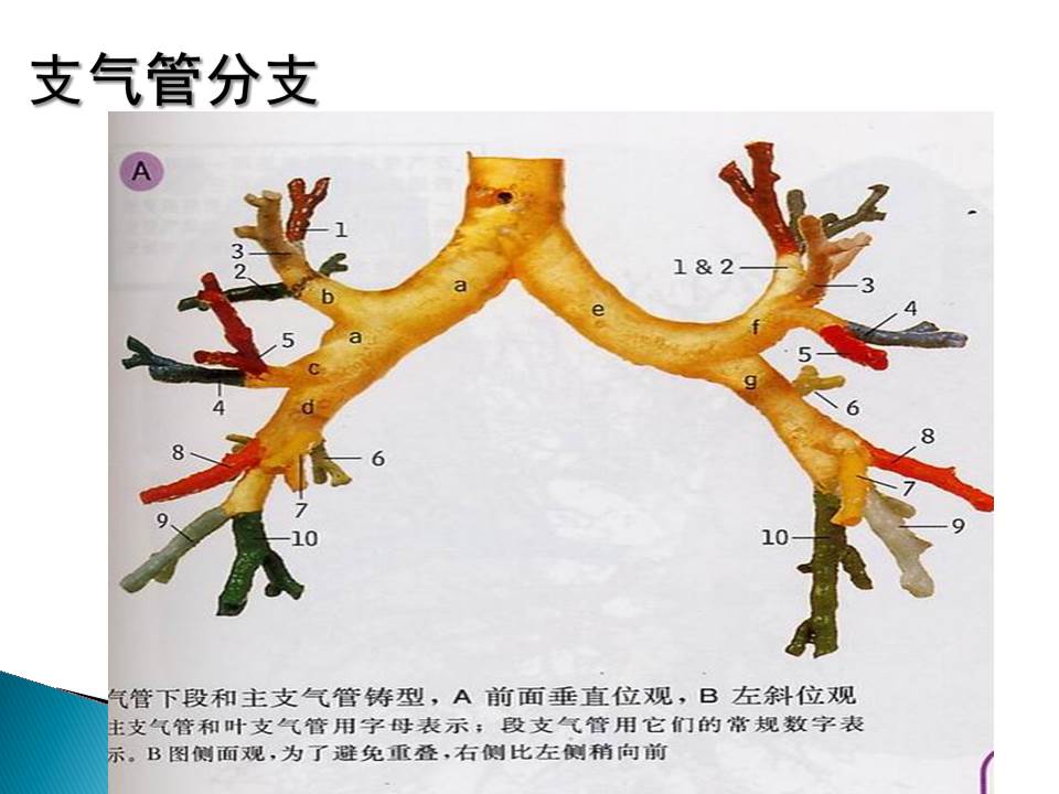 幻灯片8