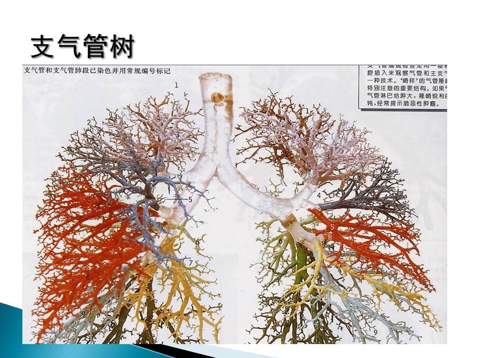 幻灯片9