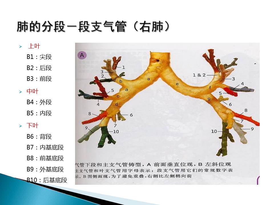 幻灯片11