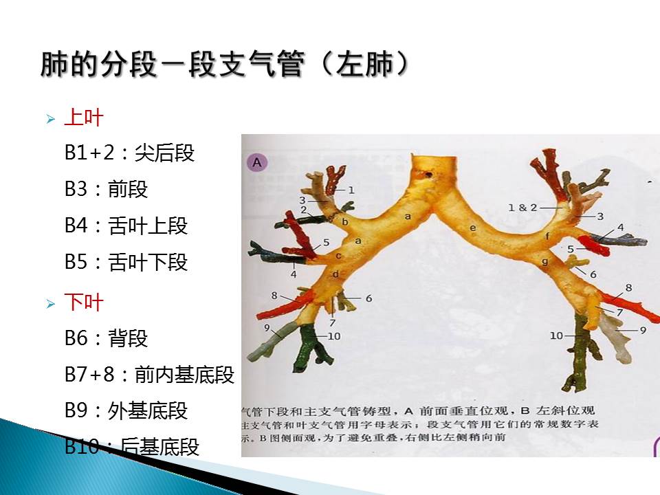 幻灯片12