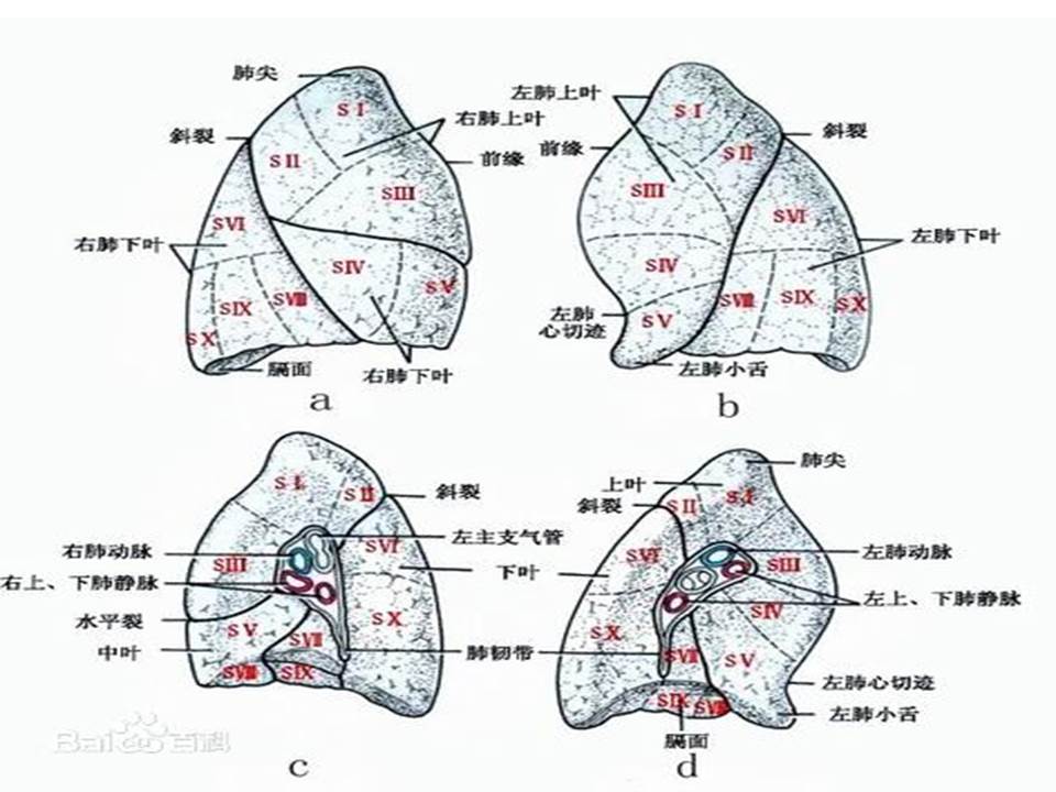 幻灯片13