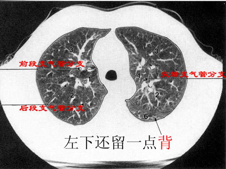 幻灯片16