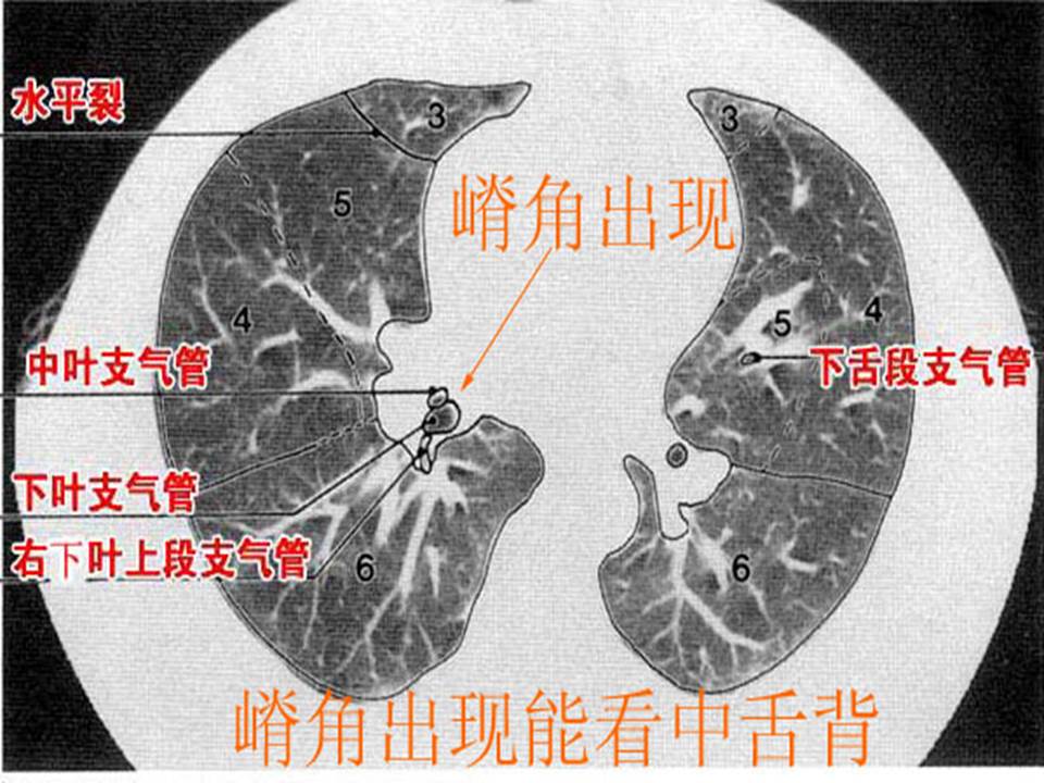 幻灯片19